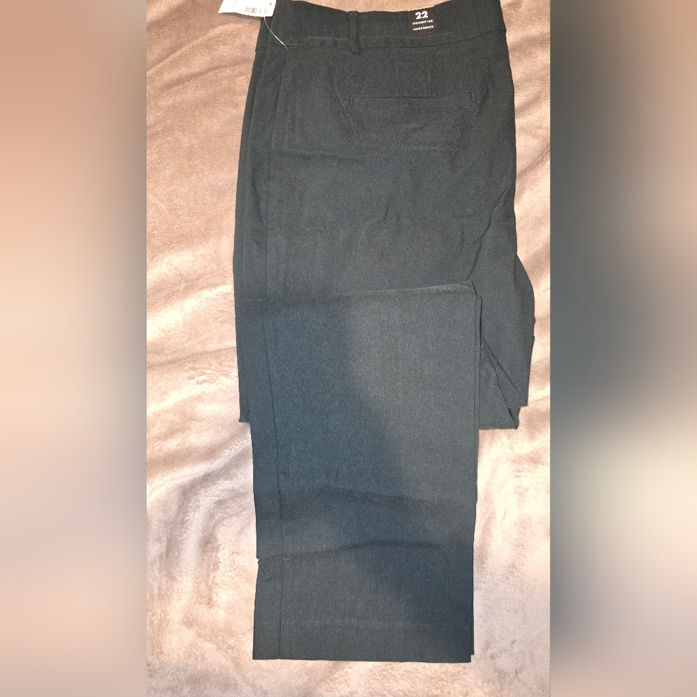 Brand New Straight Leg Pants, Petite